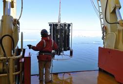 Low-Res_EarthquakeBloom1_DSC1004