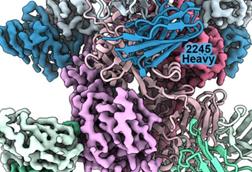 Low-Res_MAGE_structure_cropped_25-10-28 resize