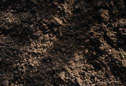 pexels-freestockpro-12940879