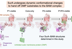 Low-Res_Figure_for_EurekAlert-2