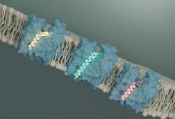 Low-Res_Clemons_Bil-Li_Evelyn-MurJ_20260212-WEB