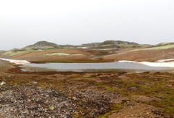 Low-Res_7777