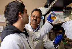 Low-Res_biofilm-spaceflight-hero