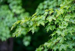 Low-Res_UNDERC_06.22_Exterior and Misc-11_resize