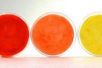 low-res - 2025-11-10T165049.186