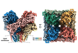 Low-Res_fig2b_2400x1600