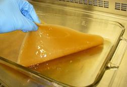 Low-Res_HASNB_23_2_HASNB_23_EA_Press_Release_Image