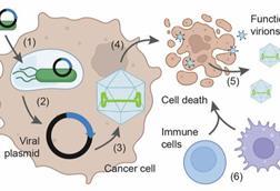 Low-Res_virus Figure 1A
