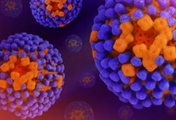 Influenza_Virus_-_52636756737