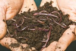 sippakorn-yamkasikorn-6v9w4ZR2TJE-unsplash