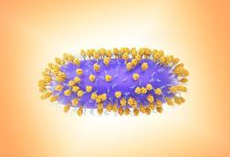 Human_Respiratory_Syncytial_Virus_(RSV)_-_52456179236