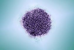 Hepatitis_C_-_53077378506 (1)