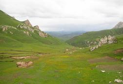 Southeast_Tibet_meadows