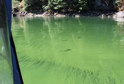 Low-Res_54917234391_b2d5067e76_k