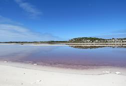 Pearse_Lakes_seen_from_Digby_Drive,_Rottnest_Island,_April_2026_08