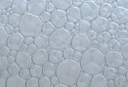 pexels-eva-bronzini-7630327