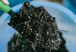 pexels-teona-swift-6913399