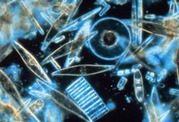 Low-Res_pl23_corp2365