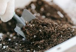 pexels-sasha-kim-9413735