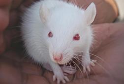 pexels-choco-virat-1244738-6552969