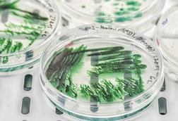 Low-Res_PM_ND85163©André Künzelmann UFZ