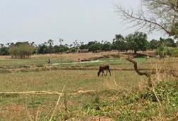 Low-Res_Banfora_Malaria Endemic Areas (1)