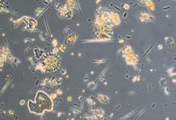 oekologie_trifft_hightech