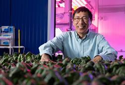 Low-Res_Ainong Shi - 1