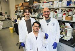 Low-Res_IMG_6794-colour-balanced2_1500x1000