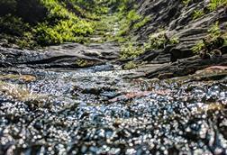 pexels-ajaybhargavguduru-977517