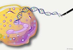 Low-Res_IMSTO_27_6_IMSTO_27_5_IMSTO_27_4_Image