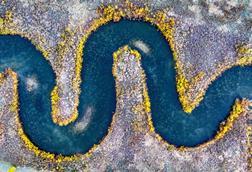 pexels-tomfisk-10900754