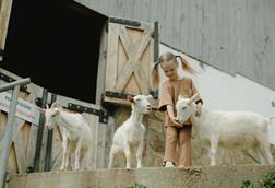 pexels-anastasia-shuraeva-7673842