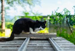 pexels-gu-ko-2150570603-33013167