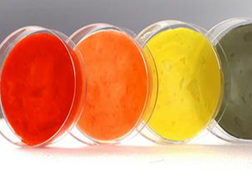 Low-Res__images_000114_002_1