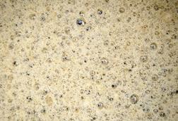 2009-03-21_Beer_brewing_bubbles