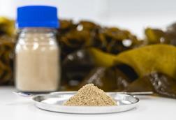 Low-Res_High purity fucoidan