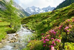 iStock-515856010