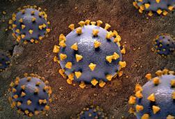 national-institute-of-allergy-and-infectious-diseases-R7nmUwVU-As-unsplash