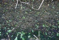 Low-Res_carbondecayvaries