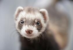 pexels-verina-37726706-7179718