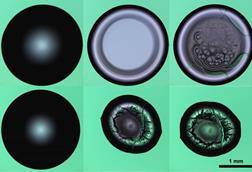 Low-Res_Drying-droplets-1_1500x1000