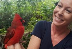 Low-Res_cardinal-anderson