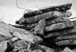 pexels-peter-dyllong-2158803154-36134823