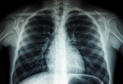 umanoide-tHS9j3HWT1s-unsplash