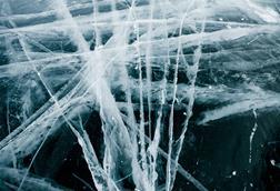 pexels-julia-volk-7100170