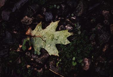 pexels-chris-f-38966-9962743