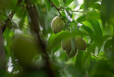 pexels-chris-f-38966-8427067