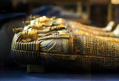 King_Tut_Organ_Coffins