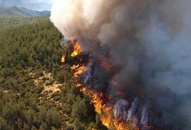 Wildfire_From_The_Air